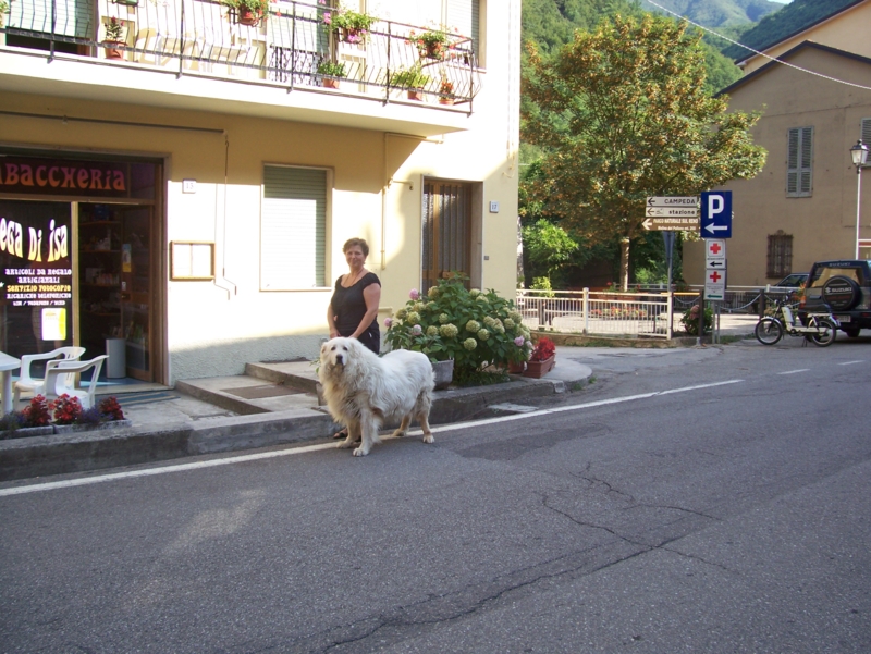  Image name: Persone051.jpg 
 width: 800 pixel 
 height: 601 pixel 
 Size: 434967 bytes 
 Click to enlarge 